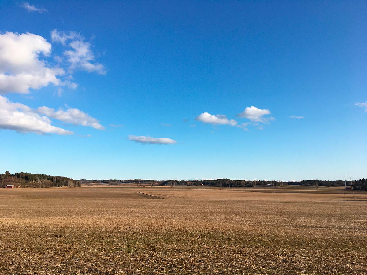 peltomaisema, sininen taivas